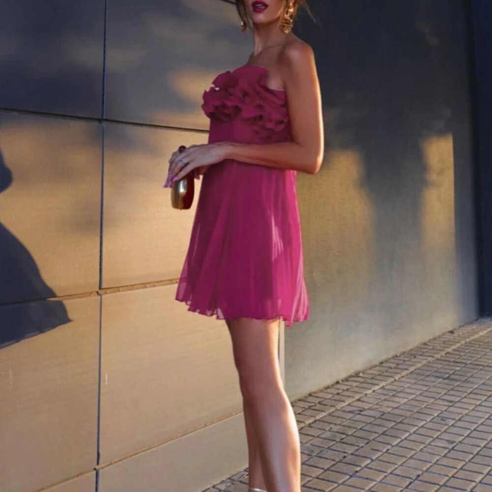 Mesh Rosette Tube Pleat Short Dress